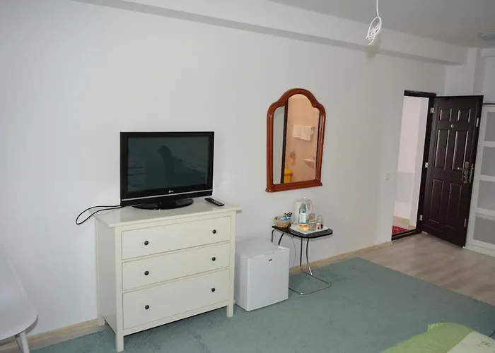 Pensionat Sia Otopeni