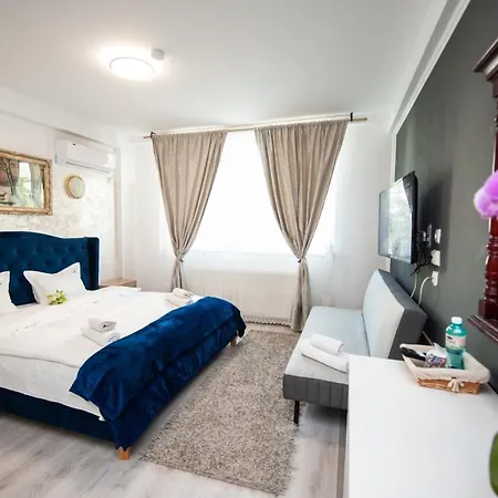 Maison d'hôtes Sia Otopeni