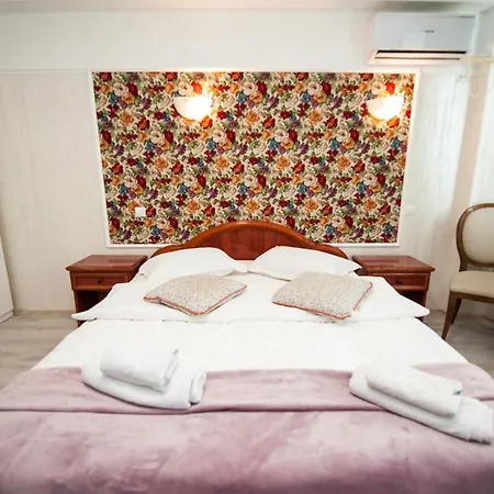 Sia Maison d'hôtes Otopeni